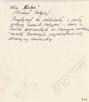 Ludwik MACIĄG (1920-2007), Ułan