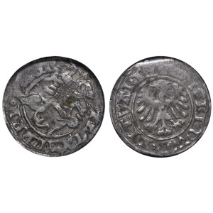 Granducato di Lituania, ½ Groat, anni 1495-1506, ECC, XF 45