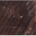 SZKOŁA ZAKOPIAŃSKA, Zew lasu