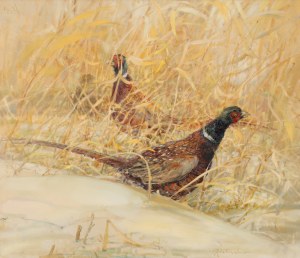 Daniel PIELUCHA (ur. 1959), 