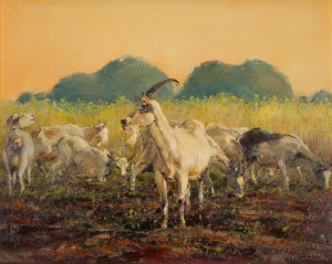 Daniel PIELUCHA (ur. 1959), 