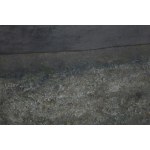 Sylwia Gabszewicz (1956 - 2011 ), Composition