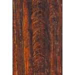 Aleksander Roszkowski (né en 1961 à Varsovie), Gothic, 1981