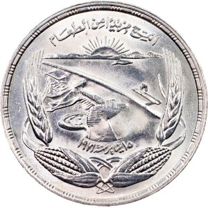 Egypt, 1 Pound AH 1393 (1973), Cairo
