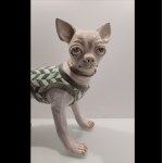 Studio IDA - Chihuahua