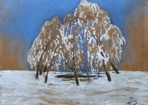 Julian Fałat (1853 Tuligłowy - 1929 Bystra), Zima w Bystrej