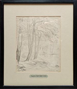 Eugeniusz Zak (1884-1926), Bois d’Amour, Pont-Aven, 1904