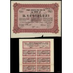 Poland, 5 shares at 100 zlotys = 500 zlotys, 1.04.1929, Poznań