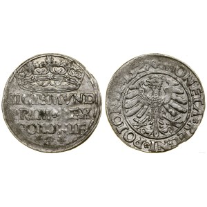 Pologne, penny, 1527, Cracovie