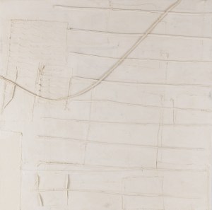 Daniel M. Leśniak (ur. 2001), 