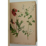Winkler, M., Mountain plants of the Sudetenland region, Dresden, 1900.