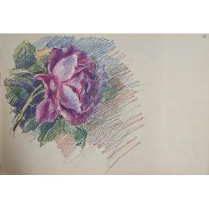 Walerian Krycinski (1852-1929), Fleur