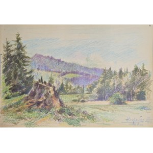 Walerian Krycinski (1852-1929), Mountain Landscape