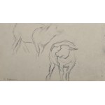 Artur Markowicz (1872-1934), Ohne Titel (doppelseitige Zeichnung)