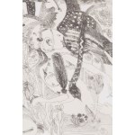 Ewa Kuryluk (ur. 1946, Kraków), Śnię na jawie, 1967