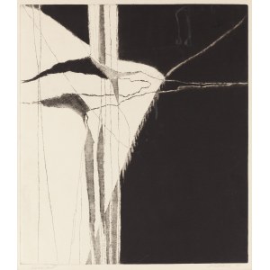 Edmund Piotrowicz (1915 Chersoń - 1991 Warszawa), Górski kwiat, 1977
