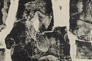 Stanisław Dawski (1905 Dorohusk - 1990 Warszawa), 