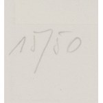 Jacek Bigoszewski (1945 Łódź - 1997 Łódź), Senza titolo, anni Novanta.