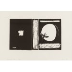 Wilhelm Sasnal (ur. 1972, Tarnów), Unexisting book, 2003