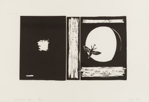 Wilhelm Sasnal (ur. 1972, Tarnów), Unexisting book, 2003