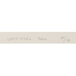 Wilhelm Sasnal (ur. 1972, Tarnów), Unexisting book, 2003