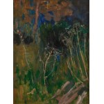 Jan Stanislawski (1860 Olszana, Ukraine - 1907 Krakow), On the Edge of the Meadow