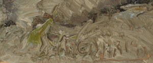 Hermann Hendrich (1854 Heringen - 1931 Szklarska Poręba), 