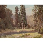 Konstanty Mackiewicz (1894 Małoryta k. Brześcia - 1985 Łódź), Pejzaż letni z widokiem na jezioro