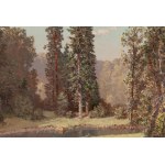 Konstanty Mackiewicz (1894 Małoryta pri Brześći - 1985 Lodž), Letná krajina s výhľadom na jazero