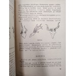 Hoppe Stanisław - Polski język łowiecki - podręcznik dla myśliwych, Warszawa 1951 [ myślistwo, łowiectwo ]