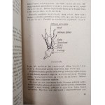Hoppe Stanisław - Polski język łowiecki - podręcznik dla myśliwych, Warszawa 1951 [ myślistwo, łowiectwo ]