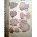 Encyklopedia Powszechna Ultima Thule éditée par Stanisław Fr. Michalski, Vol. I-III, Varsovie 1930 [ photographie, estampe, bibliothèque ].