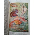 Der Grosse Brockhaus -  Brockhaus Encyclopedia. - set of 20 volumes, Leipzig 1928 - 1935 [ From the Library of the Primate of Poland Cardinal Stefan Wyszynski - Ekslibris - Ex Libris].