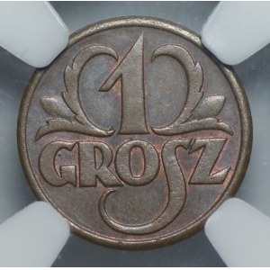 1 haléř 1928, NGC MS 62 BN