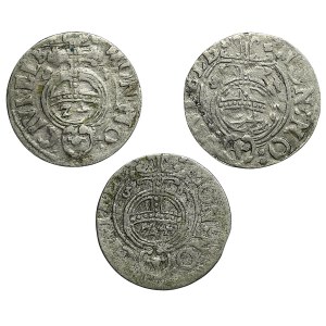Gustav II Adolf, set of half-tracks 1631, Elbląg