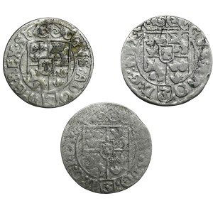 Gustav II Adolf, set of half-tracks 1631, Elbląg