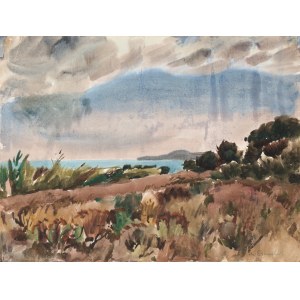 Willy EISENSCHITZ (1889-1974), Paesaggio marino