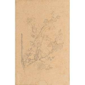 Witold PRUSZKOWSKI (1846-1896), Sketch of bushes, ca. 1872-1879