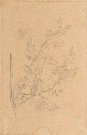 Witold PRUSZKOWSKI (1846-1896), Szkic krzaków, ok. 1872-1879