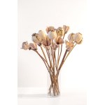 Ceramic flowers, Magnolias and poppies - bouquet of 20 pieces, 2025