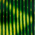 Leon Tarasewicz (b. 1957 Waliły near Bialystok), Untitled, 2023