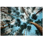 Bartłomiej Kownacki (b. 1979), View of Victims, 2013