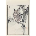 Kōno Bairei (1844-1895), Owl, published by Ōkura Magobei, Tokyo/Japan, 1881.