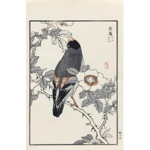 Kōno Bairei (1844-1895), Fatheaded Japanese, published by Ōkura Magobei, Tokyo/Japan, 1881.