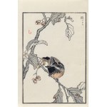 Kōno Bairei (1844-1895), Flycatcher, published by Ōkura Magobei, Tokyo/Japan, 1881.