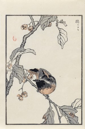 Kōno Bairei (1844-1895), Muchołówka, wyd. Ōkura Magobei, Tokio/Japonia, 1881 r.
