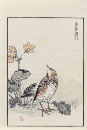 Kōno Bairei (1844-1895), Świergotek drzewny, wyd. Ōkura Magobei, Tokio/Japonia, 1881 r.