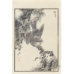 Kōno Bairei (1844-1895), Sparrowhawk, published by Ōkura Magobei, Tokyo/Japan, 1881.