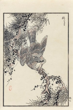 Kōno Bairei (1844-1895), Krogulec, wyd. Ōkura Magobei, Tokio/Japonia, 1881 r.