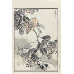 Kōno Bairei (1844-1895), On the branch, published by Ōkura Magobei, Tokyo/Japan, 1881.